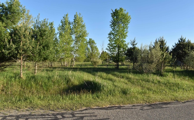 LOTS530 Shaftsbury Ct, Gladwin, MI 48624