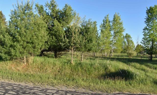 LOTS530 Shaftsbury Ct, Gladwin, MI 48624