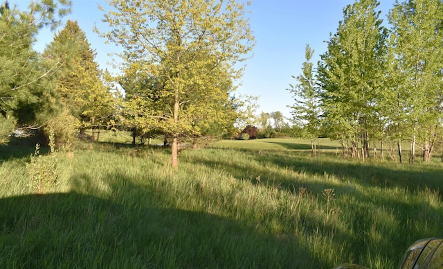 LOTS530 Shaftsbury Ct, Gladwin, MI 48624