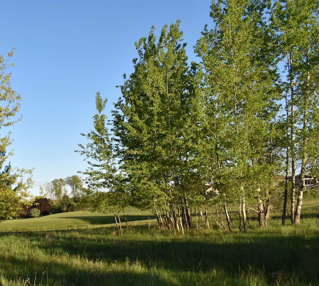LOTS530 Shaftsbury Ct, Gladwin, MI 48624