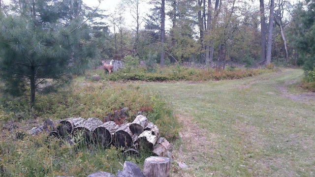 7880 S Dyer Dr, Falmouth, MI 49632 - view of yard with a wooded view