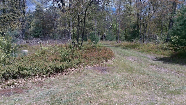 7880 S Dyer Dr, Falmouth, MI 49632 - view of dirt / gravel road featuring a view of trees