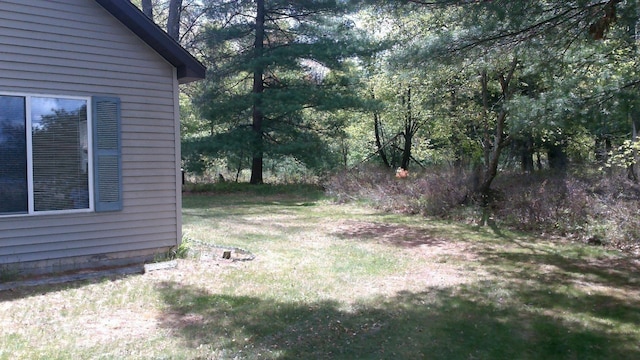 7880 S Dyer Dr, Falmouth, MI 49632 - view of yard