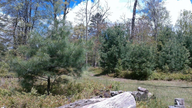 7880 S Dyer Dr, Falmouth, MI 49632 - view of yard