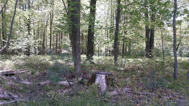 7880 S Dyer Dr, Falmouth, MI 49632 - view of wooded area