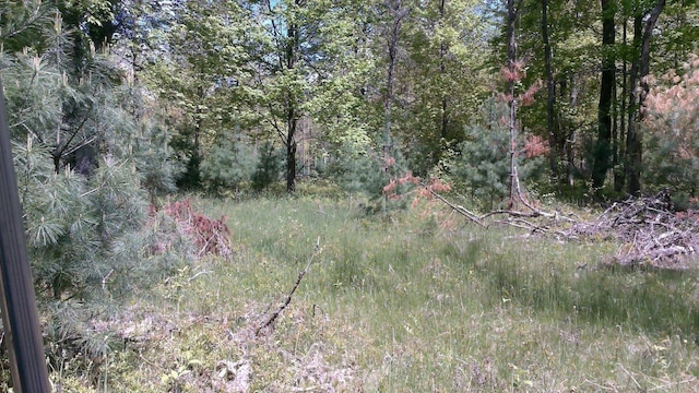 7880 S Dyer Dr, Falmouth, MI 49632 - view of woods