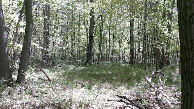 7880 S Dyer Dr, Falmouth, MI 49632 - view of woods
