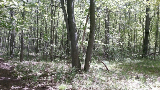 7880 S Dyer Dr, Falmouth, MI 49632 - view of woods