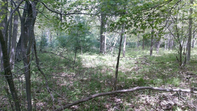 7880 S Dyer Dr, Falmouth, MI 49632 - view of tree filled area