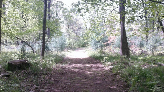 7880 S Dyer Dr, Falmouth, MI 49632 - view of wooded area