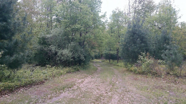 7880 S Dyer Dr, Falmouth, MI 49632 - view of wooded area