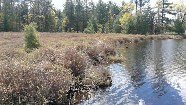 7880 S Dyer Dr, Falmouth, MI 49632 - water view featuring a forest