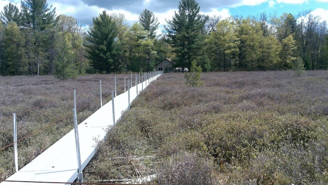 7880 S Dyer Dr, Falmouth, MI 49632 - view of yard featuring a wooded view