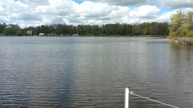 7880 S Dyer Dr, Falmouth, MI 49632 - water view