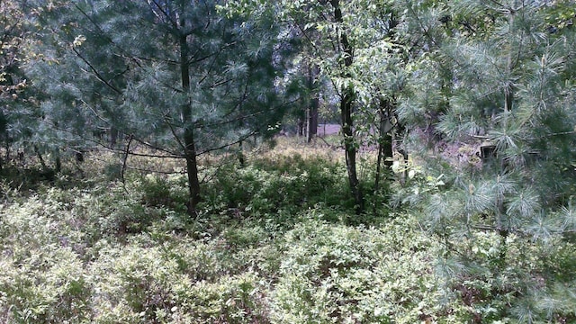 7880 S Dyer Dr, Falmouth, MI 49632 - view of undeveloped land