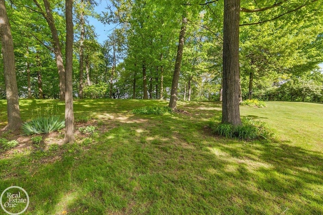 63011 Indian Hills Dr Unit # 1, Washington Twp, MI 48095 - view of grassy yard