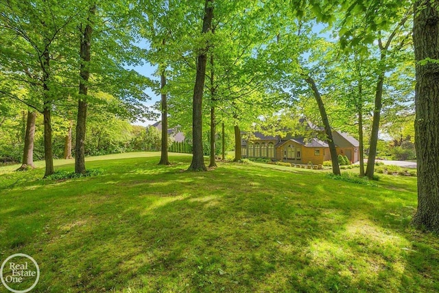 63011 Indian Hills Dr Unit # 1, Washington Twp, MI 48095 - view of grassy yard