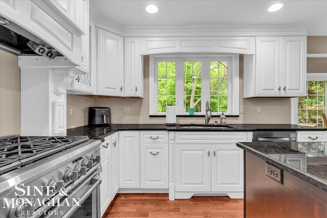 55266 Lordona Ln, Shelby Twp, MI 48315 - kitchen featuring appliances with stainless steel finishes, white cabinetry, ventilation hood, a sink, and light wood-type flooring