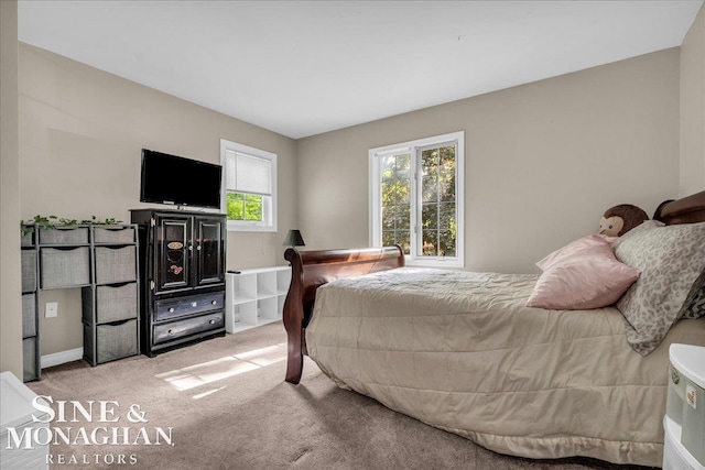 55266 Lordona Ln, Shelby Twp, MI 48315 - bedroom with light colored carpet and baseboards