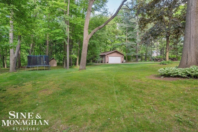 55266 Lordona Ln, Shelby Twp, MI 48315 - view of green lawn with a trampoline, an outbuilding, and a detached garage