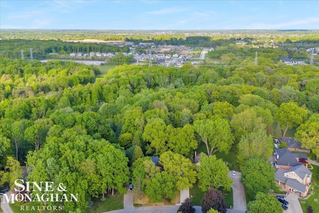 55266 Lordona Ln, Shelby Twp, MI 48315 - bird's eye view of a forest