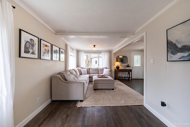 2091 Wilkinson Ave, Marquette, MI 49855 - living area featuring ornamental molding, dark wood-type flooring, and baseboards