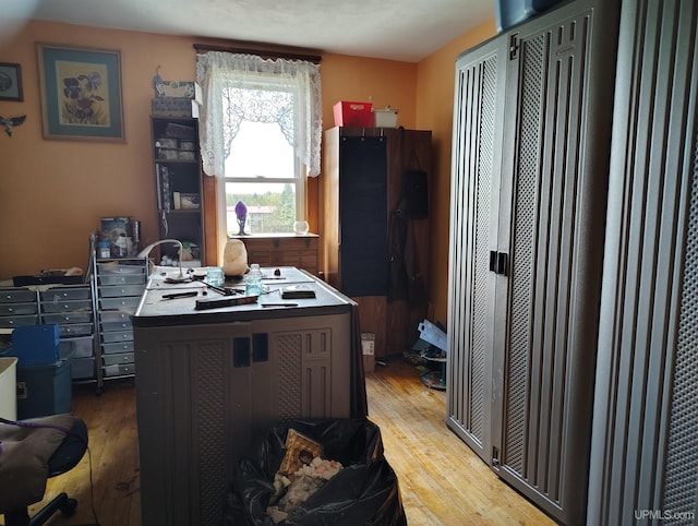 4203 E Maple Ridge 37th Rd, Rock, MI 49880 - kitchen with wood-type flooring