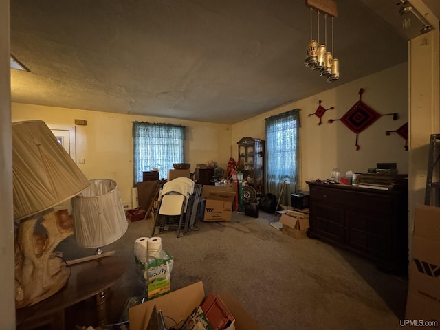 336 E Broad St, Lanse, MI 49946 - sitting room with carpet floors