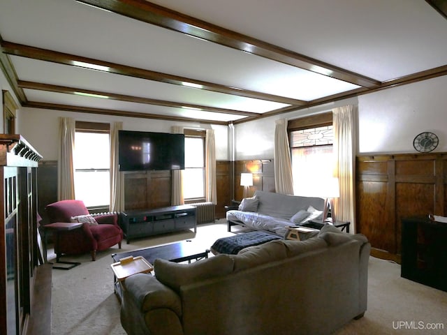 909 Quincy St, Hancock, MI 49930 - carpeted living area with beamed ceiling, radiator, and a wainscoted wall
