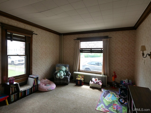 909 Quincy St, Hancock, MI 49930 - playroom featuring radiator heating unit, carpet, ornamental molding, and wallpapered walls