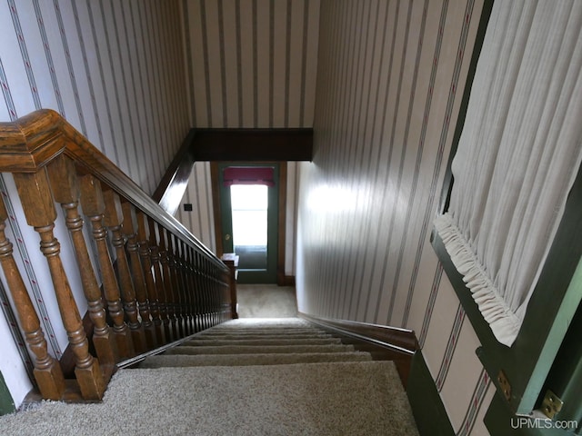 909 Quincy St, Hancock, MI 49930 - stairway featuring wallpapered walls and carpet