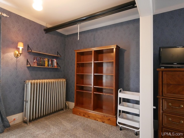 909 Quincy St, Hancock, MI 49930 - unfurnished bedroom featuring radiator, carpet flooring, and crown molding