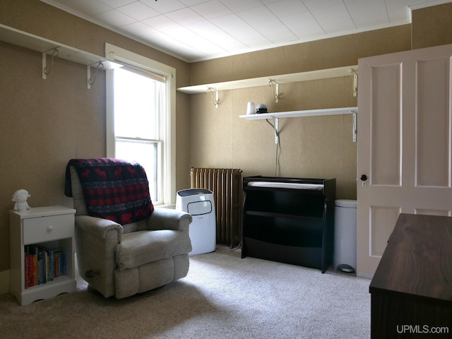 909 Quincy St, Hancock, MI 49930 - sitting room featuring carpet, radiator, and crown molding