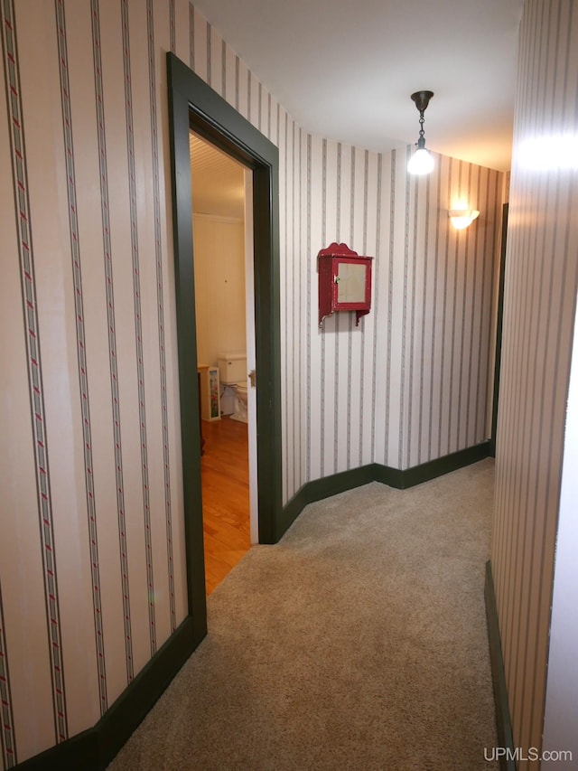 909 Quincy St, Hancock, MI 49930 - corridor with carpet floors and wallpapered walls