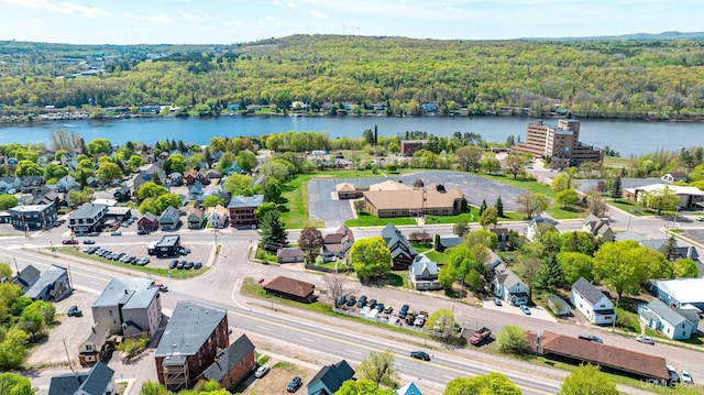 909 Quincy St, Hancock, MI 49930 - bird's eye view of a heavily wooded area and a nearby body of water