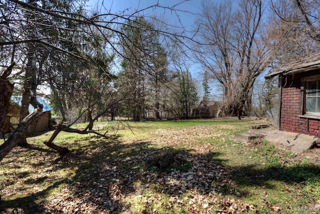 338 E Tamarack St, Ironwood, MI 49938 - view of yard