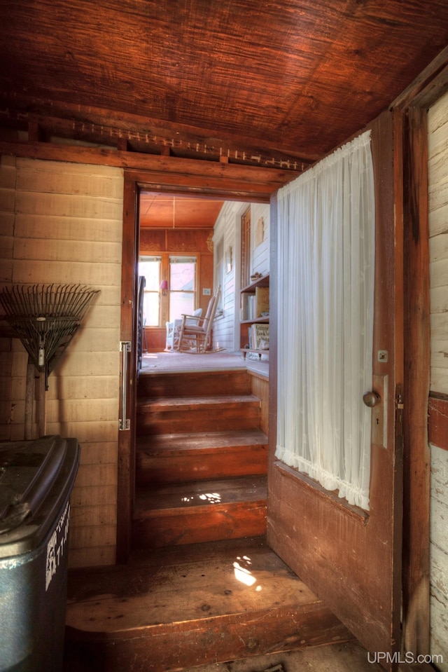 338 E Tamarack St, Ironwood, MI 49938 - stairs featuring wooden ceiling, hardwood / wood-style floors, and wooden walls