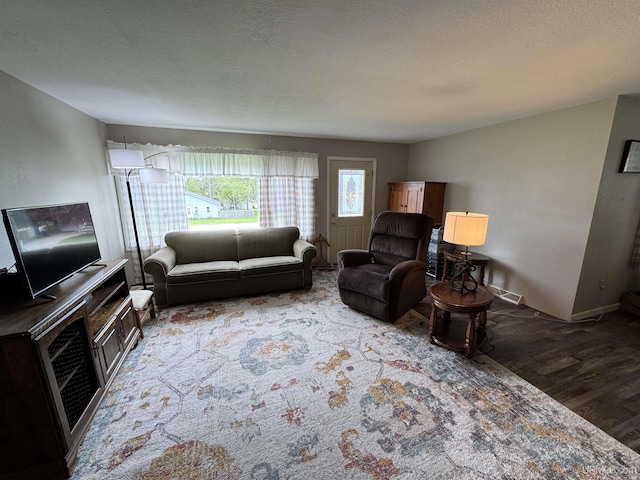 500 Fairbanks St, Iron Mountain, MI 49801 - living area featuring wood finished floors, a textured ceiling, and baseboards