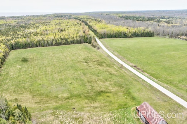 1782 H Rd, Bark River, MI 49807 - overview of rural landscape featuring a forest