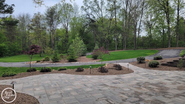 966 Pine Needle Trl, Oakland Twp, MI 48306 - view of property's community featuring a yard