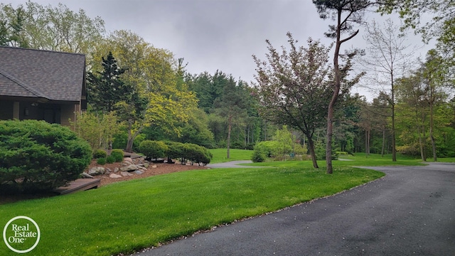 966 Pine Needle Trl, Oakland Twp, MI 48306 - view of asphalt street