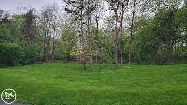 966 Pine Needle Trl, Oakland Twp, MI 48306 - view of green lawn with a forest view