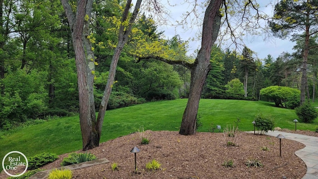 966 Pine Needle Trl, Oakland Twp, MI 48306 - view of green lawn