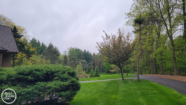 966 Pine Needle Trl, Oakland Twp, MI 48306 - view of community featuring a lawn and a wooded view