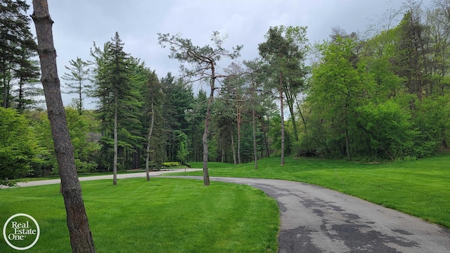 966 Pine Needle Trl, Oakland Twp, MI 48306 - view of community featuring curved driveway, a yard, and a view of trees