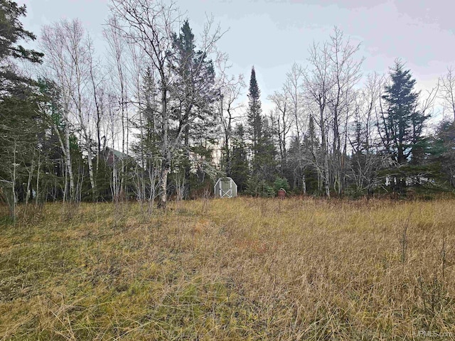 10162 Wyoming Rd, Mohawk, MI 49918 - view of undeveloped land