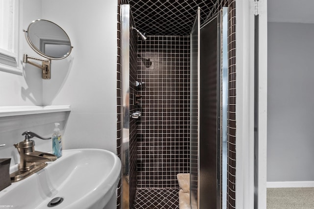 8912 Hubbard St, Livonia, MI 48150 - bathroom with a sink and a shower stall