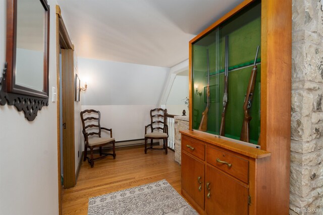 7975 00.25 Rd, Garden, MI 49835 - living area with light wood-style flooring and vaulted ceiling