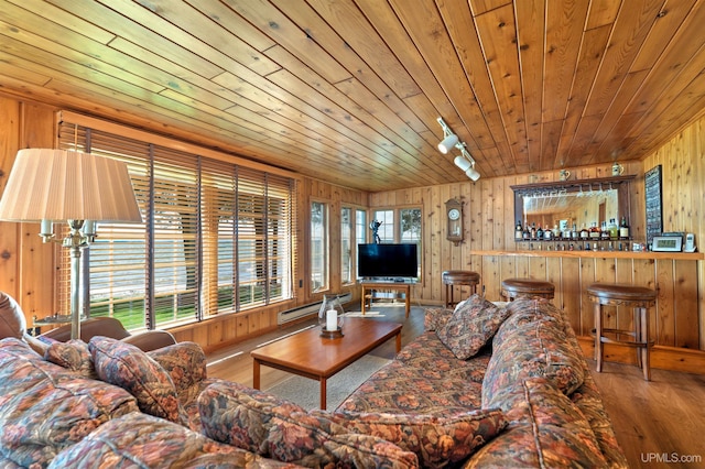 7975 00.25 Rd, Garden, MI 49835 - living room featuring wood walls, wood-type flooring, wooden ceiling, and track lighting