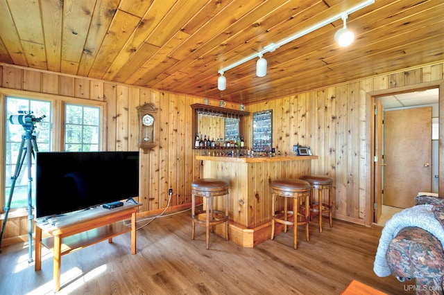 7975 00.25 Rd, Garden, MI 49835 - indoor dry bar with rail lighting, wooden walls, baseboards, wood ceiling, and wood finished floors